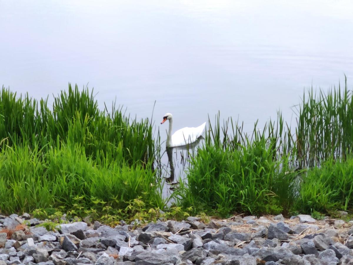 Miodowa Sadyba Domki Caloroczne Kluczbork Ligota Zamecka Bagian luar foto