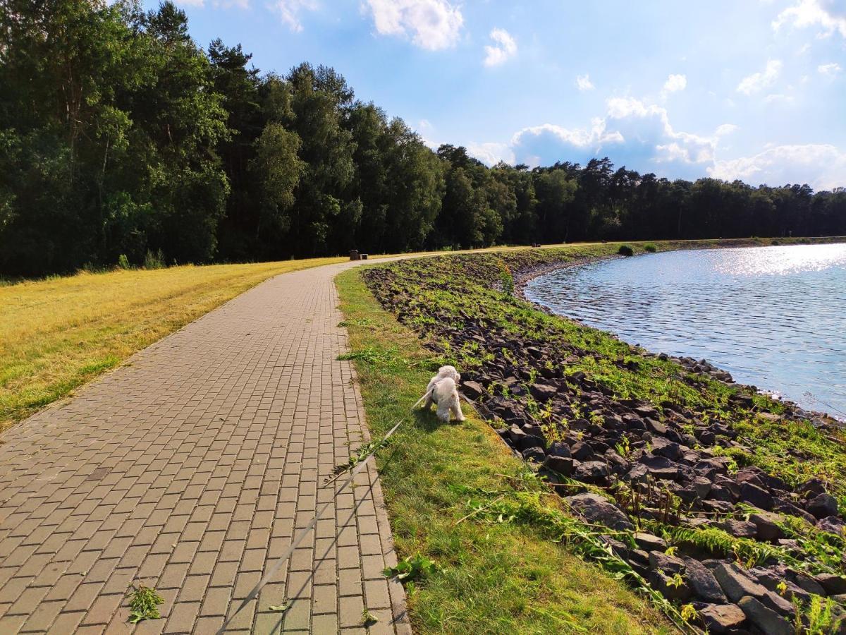 Miodowa Sadyba Domki Caloroczne Kluczbork Ligota Zamecka Bagian luar foto