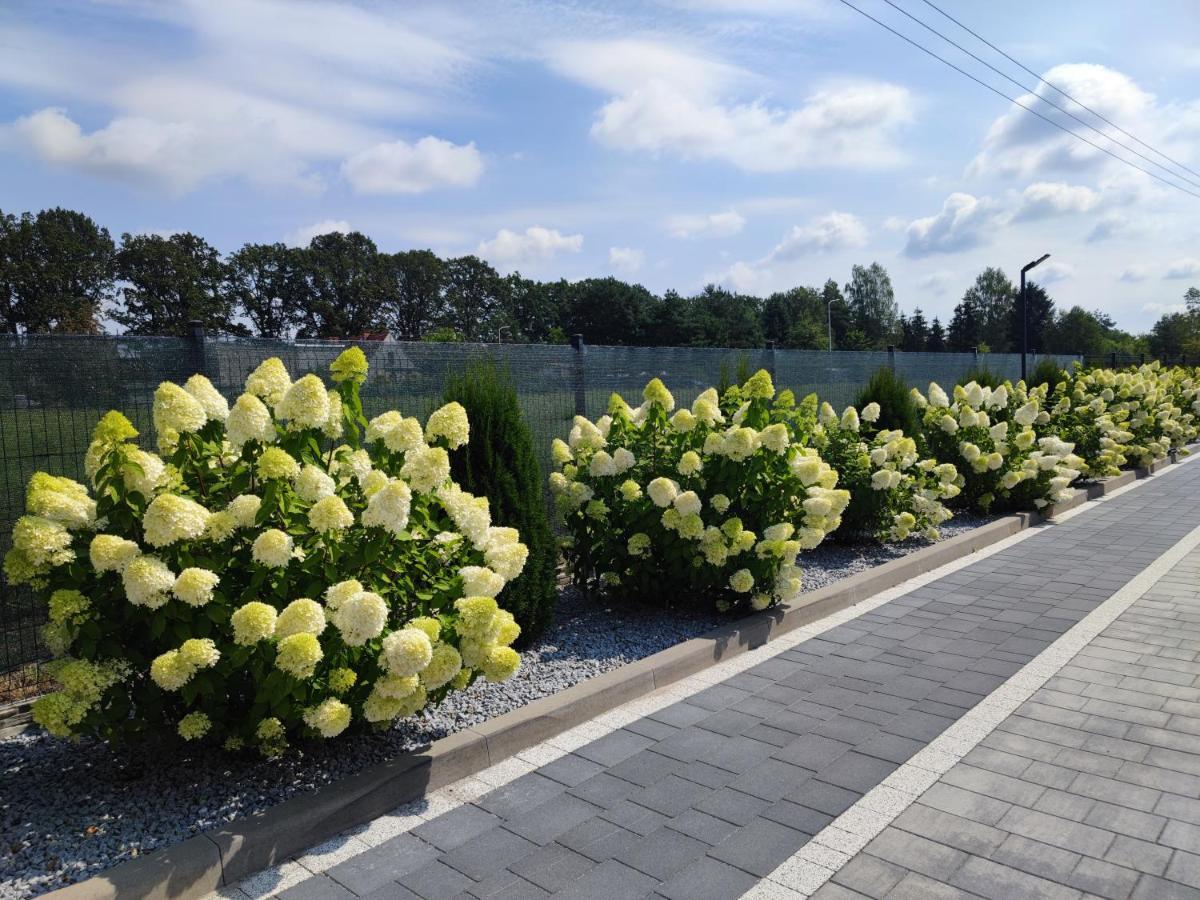 Miodowa Sadyba Domki Caloroczne Kluczbork Ligota Zamecka Bagian luar foto