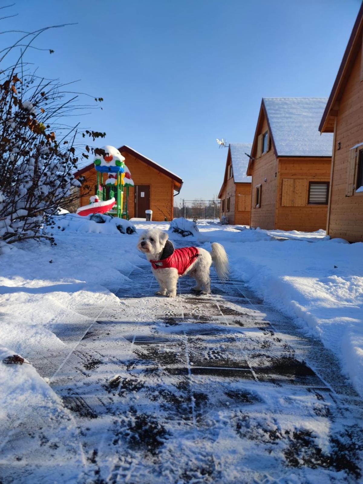 Miodowa Sadyba Domki Caloroczne Kluczbork Ligota Zamecka Bagian luar foto